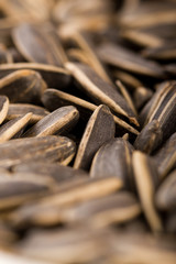 sunflower seed macro full with bokeh