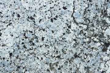 surface of the marble with gray tint 