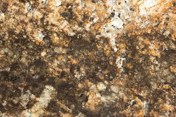 surface of the marble with gray tint 