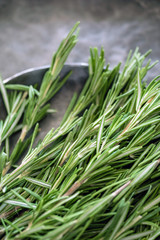 fresh rosemary
