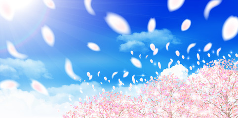 Fototapeta premium 桜 春 花 背景