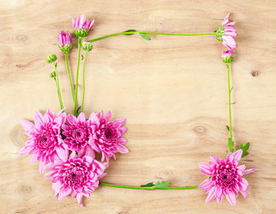 Chrysanthemum flower frame.