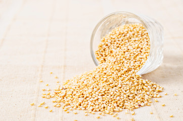 White quinoa seeds in glass cup.