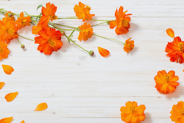 orange summer flowers on white wooden background