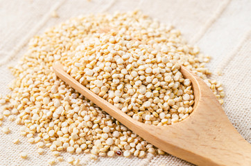 White quinoa seeds in wooden scoop.