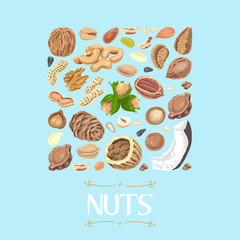 Isolated square of nuts and seeds