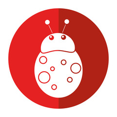 ladybug fly antenna animal shadow vector illustration eps 10