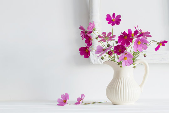 flowers in a vase on white background