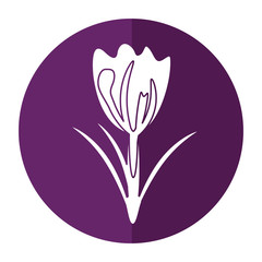 flower spring natural decoration shadow vector illustration eps 10