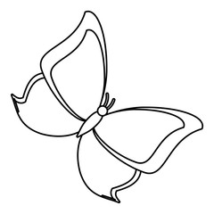butterfly animal insect fly thin line vector illustration eps 10