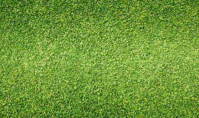 Obraz premium grass background Golf Courses green lawn