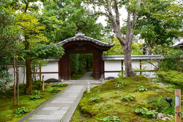 圓徳院　日本庭園