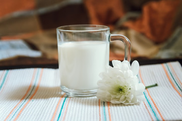 milk and white flower on a tray, healthy breakfast