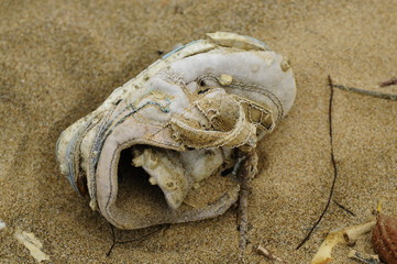 Fototapeta na wymiar Many kind of rubbishes on the beach.