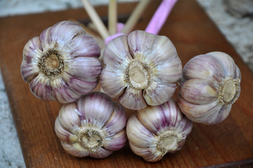 Coupling heads of garlic
