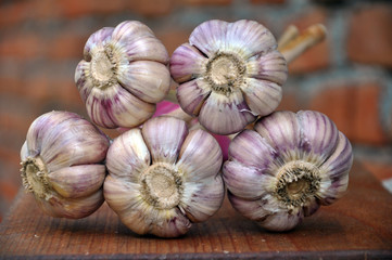 Coupling heads of garlic