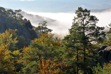 Autumn scenery near Dovbush in Ukrainian Carpathian mountains