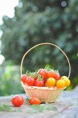 Tomato in basket on wood from Thailand selective and soft focus