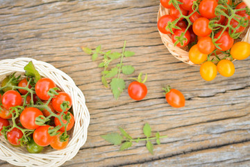 Hipster tone Top view group of tomato on old wood background, selective and soft focus