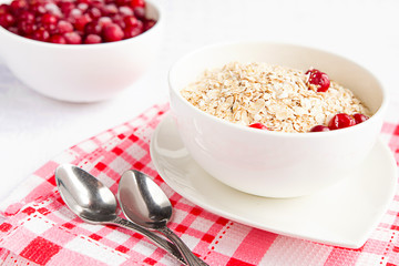 Rolled oats, porridge and cranberries for a healthy breakfast in a rustic style