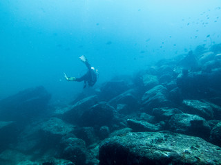 the diver is diving in the sea, Philippines
