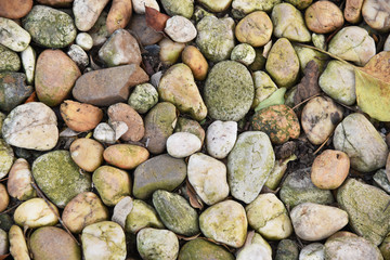 closed up the pebbples on the Anilao beach, Philippines