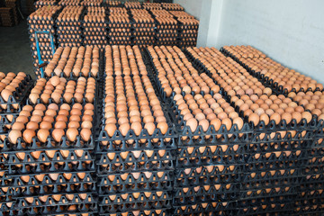 Eggs from chicken farm in the package that preserved for sale.