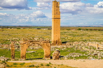 World's first university, Harran University. The remainings of the university is located in Sanliurfa, Turkey. The shot was taken cloudy day. tower and some gates are still visible.