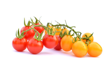 Close up group of tomato on white background