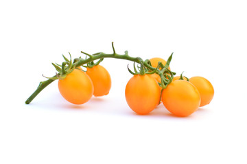 Close up tomato on white background