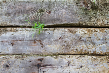 Part of a fence with green grass is poping. Wood details are clearly visible. Nice degraded colors.