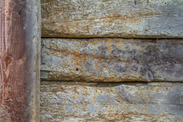 Part of a fence with vertical planks on the left. Wood details are clearly visible. Nice degraded colors.