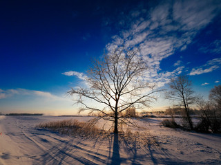 Fototapeta na wymiar 冬の風景
