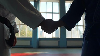 Two Hands Of Judokas Fighters Makes Handshake - Powered by Adobe