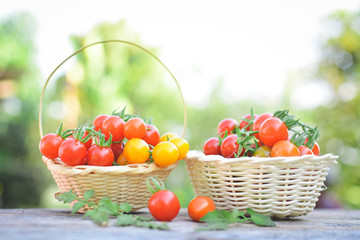 Tomato in basket on wood from Thailand selective and soft focus