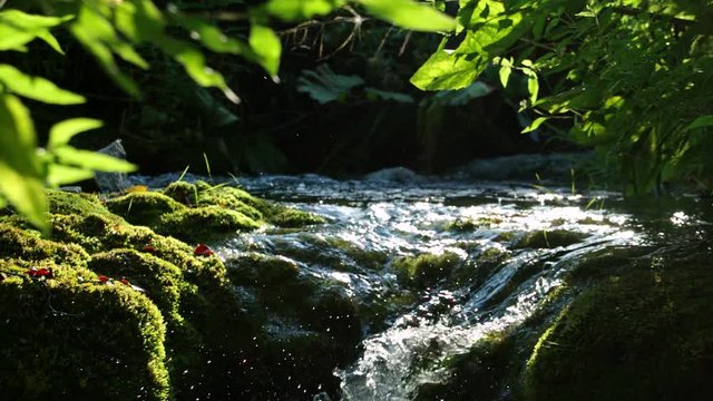 Detailed view of the beautiful waterfalls in Plitvice National Park, Croatia
