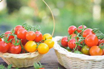 Tomato in basket on wood from Thailand selective and soft focus