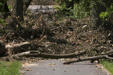 Wind Storm Damage
