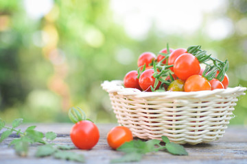 Tomato in basket on wood from Thailand selective and soft focus