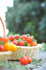 Tomato in basket on wood from Thailand selective and soft focus