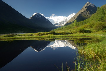 Altay
