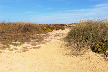 Sandiger Weg durch die Dünen zum Strand