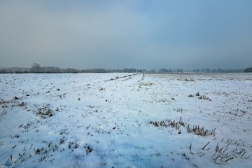 Winter snowy fields and foggy day