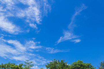 Obraz premium blue sky