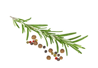 Rosemary and peppercorns on a white background, closeup