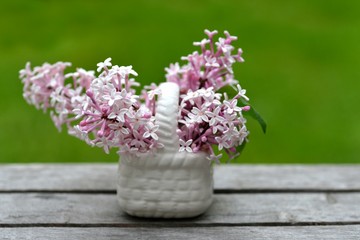 Lilac, spring flowers in vase.