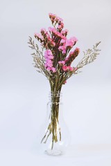 dry flower background