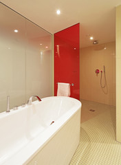 Badewanne und Dusche im Badezimmer