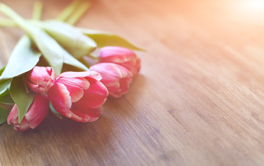 Bright pink tulips on natural wooden background, with the spray of the water, in honor of women's day