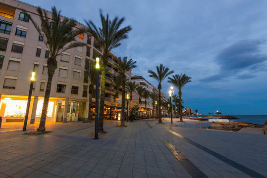 Palms on city famous promenade in Torrevieja, Spain